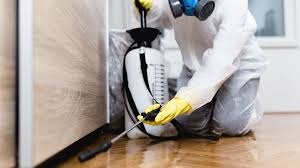 Professional Pest Control in Fruitridge Pocket, CA